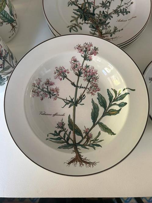 Servies Villeroy & Boch Botanica 86-delig, Antiek en Kunst, Antiek | Servies compleet, Ophalen