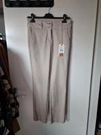 Broek nieuw maat 34 red button, Ophalen of Verzenden, Nieuw, Maat 34 (XS) of kleiner, Lang