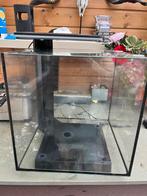 Vissen aquarium, Ophalen, Zo goed als nieuw, Leeg aquarium