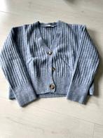 Zara vest lichtblauw - maat S, Ophalen, Blauw, Zara, Maat 36 (S)