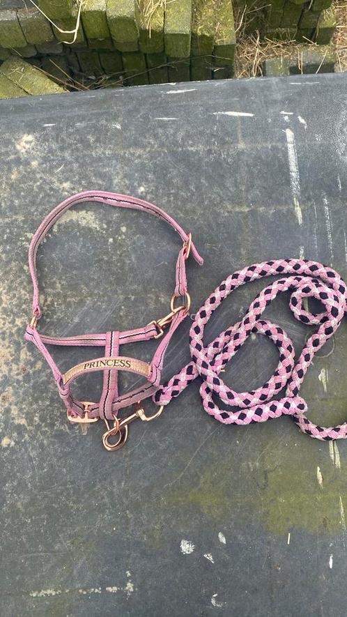 1 leuke roze halster mini shet, Dieren en Toebehoren, Paarden en Pony's | Hoofdstellen en Tuigage, Zo goed als nieuw, Overige soorten