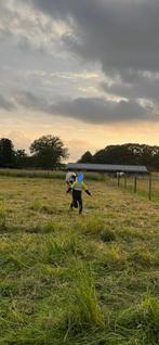 Stalling en weidegang Mastbos, Stalling