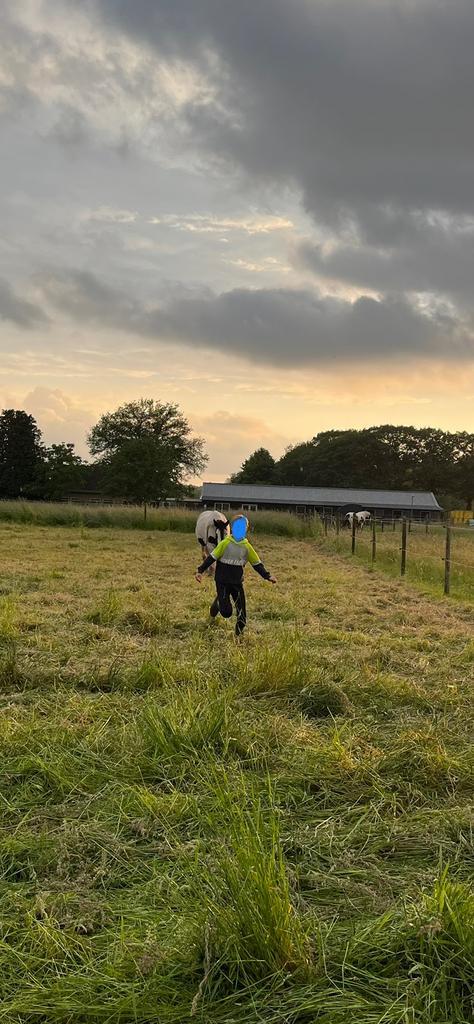 Stalling en weidegang Mastbos, Dieren en Toebehoren, Stalling en Weidegang, Stalling