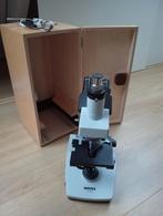 Novex B serie Microscoop met camera en accessoires, Ophalen, Gebruikt, 1000x of meer, Biologische microscoop