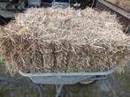 hooi, Dieren en Toebehoren, Ophalen, Overige soorten