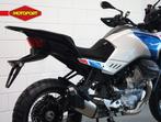Moto Guzzi Stelvio Duecento Tributo (bj 2025), Bedrijf, 1000 cc, Toermotor