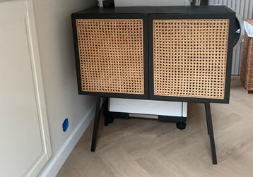 Rotan kast