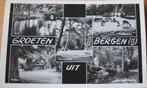 Groeten uit Bergen NH - Hoflaan - Sparrenlaan - 1959, Verzamelen, Ansichtkaarten | Nederland, Verzenden, 1940 tot 1960, Gelopen