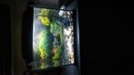 Aqarium incl motor,stenen, Dieren en Toebehoren, Vissen | Aquaria en Toebehoren, Ophalen, Gebruikt, Leeg aquarium
