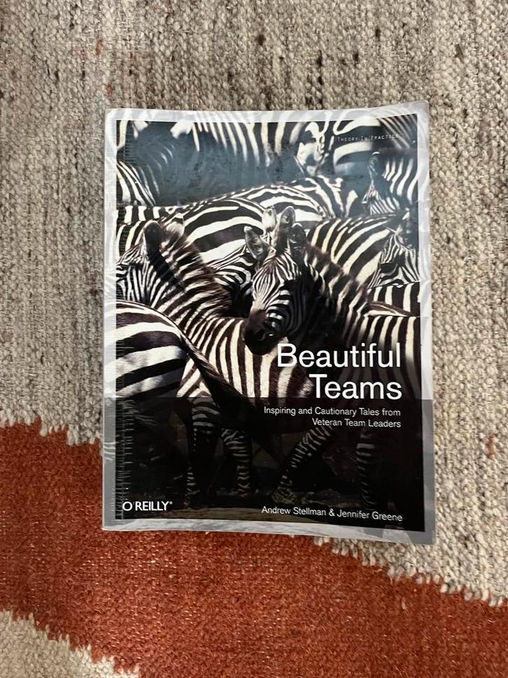 Beautiful Teams - Andrew Stellman & Jennifer Greene, Boeken, Economie, Management en Marketing, Gelezen, Personeel en Organisatie