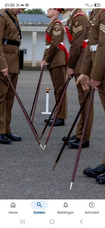 Gezocht pace stick beschikbaar voor biedingen