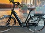 ❗️Gazelle Grenoble C8 SMART 53 en 57 cm 3km  DEMO❗️