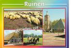 Ansichtkaart 	Ruinen	4-luik	Paarden	Schapen, Verzamelen, Ansichtkaarten | Nederland, Verzenden, 1980 tot heden, Gelopen, Drenthe