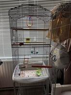 Vogelkooi, Ophalen, Zo goed als nieuw, Metaal, Vogelkooi