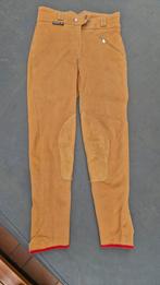 Eurostar rijbroek maat 36 (wijde taille), Dressuur, Zo goed als nieuw, Dames, Onderkleding