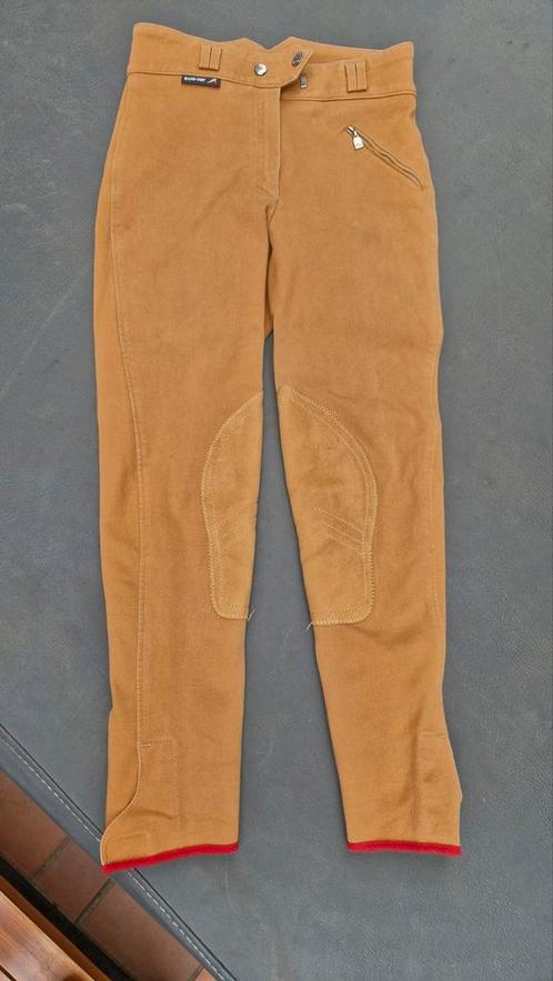 Eurostar rijbroek maat 36 (wijde taille), Dieren en Toebehoren, Paardrijkleding, Zo goed als nieuw, Dames, Onderkleding, Dressuur