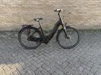 Sparta C Grid energy, Ophalen, Sparta, Nieuw, 51 tot 55 cm