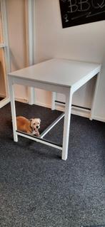 Hoge (sta) tafel wit (exclusief hond), Ophalen, 100 tot 150 cm, 50 tot 100 cm, Zo goed als nieuw