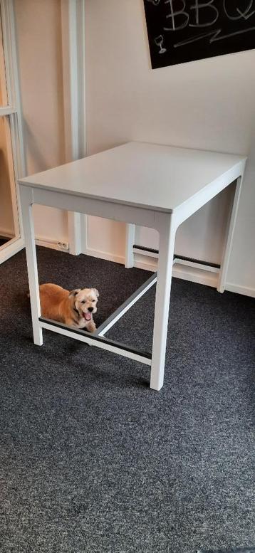 Hoge (sta) tafel wit (exclusief hond) beschikbaar voor biedingen