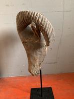 Hout beeld congo, Antiek en Kunst, Kunst | Niet-Westerse kunst, Ophalen of Verzenden