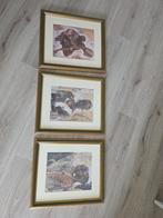 3 prachtige schilderijen Afrikaanse vrouwen 35x40, Huis en Inrichting, Ophalen, Zo goed als nieuw, Hout, Minder dan 50 cm