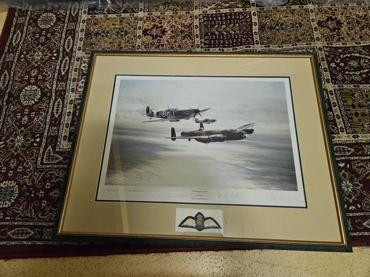 Robert Taylor Memorial Flight met handtekeningen, Antiek en Kunst, Kunst | Schilderijen | Klassiek, Ophalen