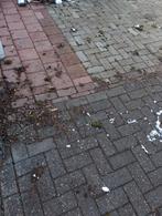 Gratis klinkerstenen, Ophalen, Gebruikt, Klinkers