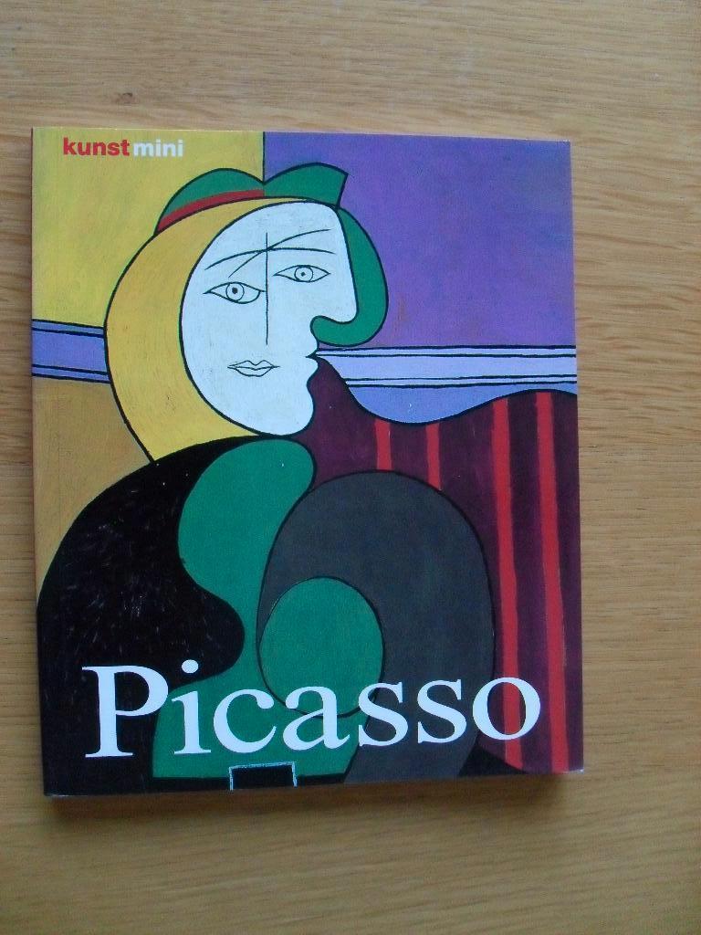 Picasso van Buchholz en Zimmermann - kunst mini, Boeken, Ophalen of Verzenden, Gelezen