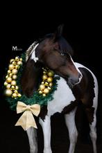 Kerstkrans a,b en c pony, Diversen, Ophalen of Verzenden, Nieuw