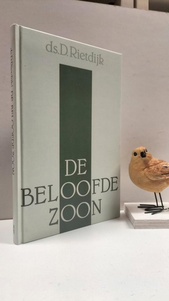 Rietdijk, Ds. D.; De beloofde zoon, Boeken, Godsdienst en Theologie, Gelezen, Christendom | Protestants, Ophalen of Verzenden