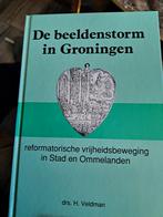 De Beeldenstorm in Groningen, Boeken, Ophalen of Verzenden, 20e eeuw of later, Zo goed als nieuw, Drs. H. Veldman