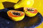 bijzondere Asimina Triloba Pawpaw struiken, Tuin en Terras, Ophalen, Overige soorten, Struik, 100 tot 250 cm