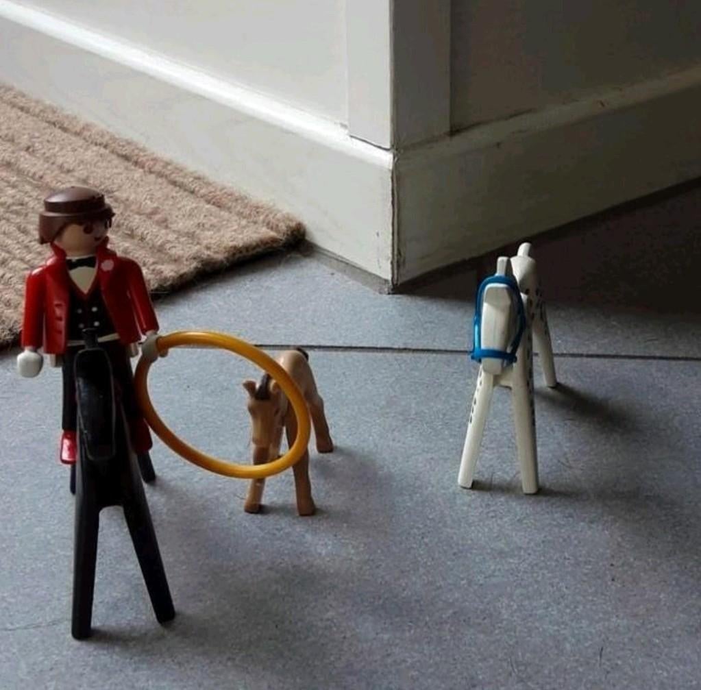 NIEUW PLAYMOBIL CIRCUS PAARDEN ACT COMPLEET, Ophalen of Verzenden, Nieuw, Complete set