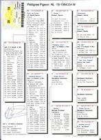 Doffer Jan Vd Pasch en dochter, Mannelijk, Postduif