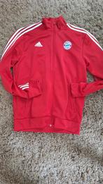 Bayern München Adidas Trainingsjack  L, Maat 52/54 (L), Ophalen of Verzenden, Zo goed als nieuw, Adidas