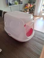 Kattebak kleine kat ( kitten), Dieren en Toebehoren, Ophalen