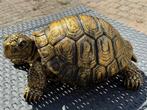 Tuinbeeld schildpad, Tuin en Terras, Ophalen, Nieuw, Kunststof, Dierenbeeld