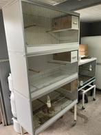 1 kast 3 delige van keulen kooien met onder stel, Dieren en Toebehoren, Ophalen, Gebruikt, Hout, Broedkooi of Kweekkooi