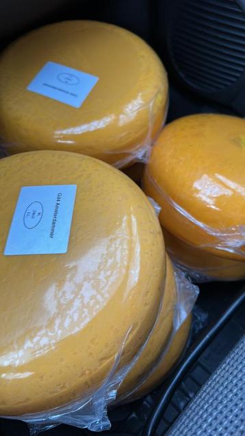 Kleine wiel kaas jong belegen beschikbaar voor biedingen