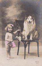 Knap meisje lang haar. Schotse Collie. Fraaie oude AK. 1913, Verzenden, Voor 1920, Gelopen, Kinderen