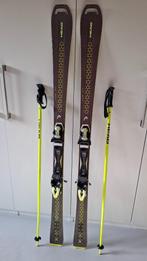 Dames ski's Head Super Joy 1.63, Ophalen, 160 tot 180 cm, Gebruikt, Carve