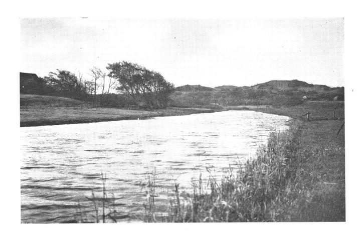 990236 Groet Hargergat 1955 NH Gelopen met postzegel, Verzamelen, Ansichtkaarten | Nederland, Gelopen, Noord-Holland, 1940 tot 1960