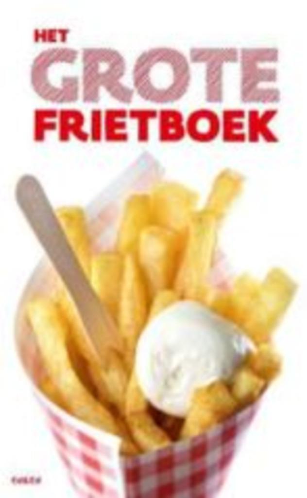 Ellen Scholtens: het grote frietboek, Boeken, Kookboeken, Gelezen, Ophalen of Verzenden