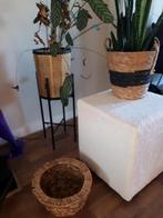 Plantentafeltje, bijzettafeltje van nepbont /fijne teddystof, Ophalen, Rond, Hout, Minder dan 55 cm