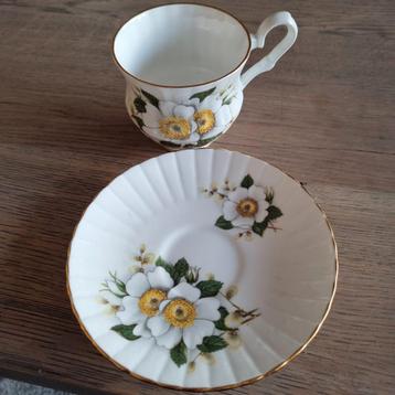 2 kop en schotel  beschikbaar voor biedingen