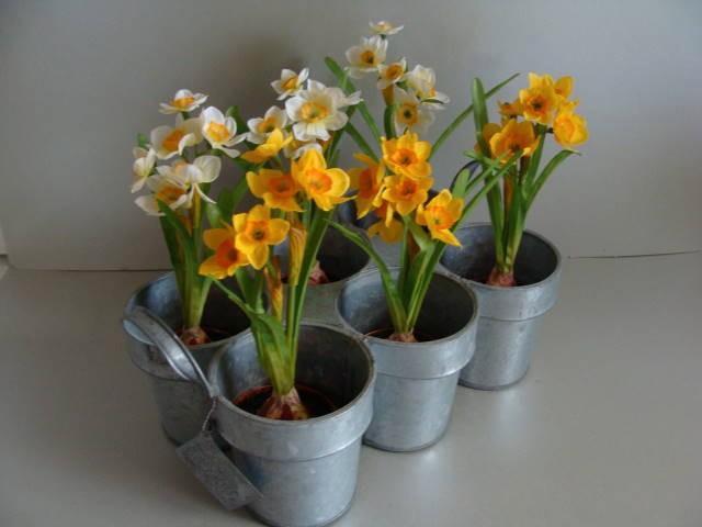 Plantenbak van zink voor 6 planten, Tuin en Terras, Bloembakken en Plantenbakken, Metaal, Binnen, Balkon, Tuin, Minder dan 30 cm