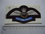 sticker oud RAF WINGS Future Pilot piloot vliegtuig retro, Verzenden, Zo goed als nieuw