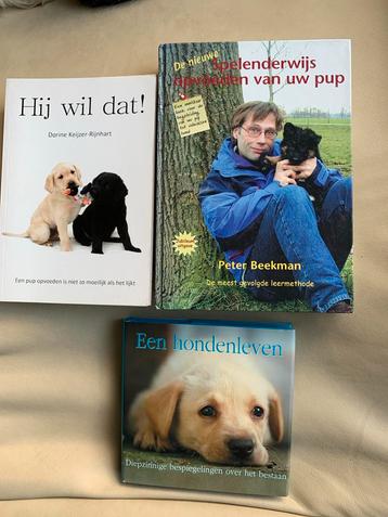3 Boeken over puppy opvoeding + hondenleven beschikbaar voor biedingen
