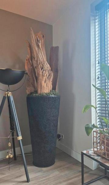 Grote decoratieve pot met drijfhout & decoratiemos beschikbaar voor biedingen