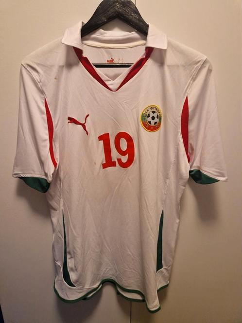 Bulgarije voetbalshirt (thuisshirt) 2010-2012, Sport en Fitness, Voetbal, Zo goed als nieuw, Maat M, Ophalen of Verzenden